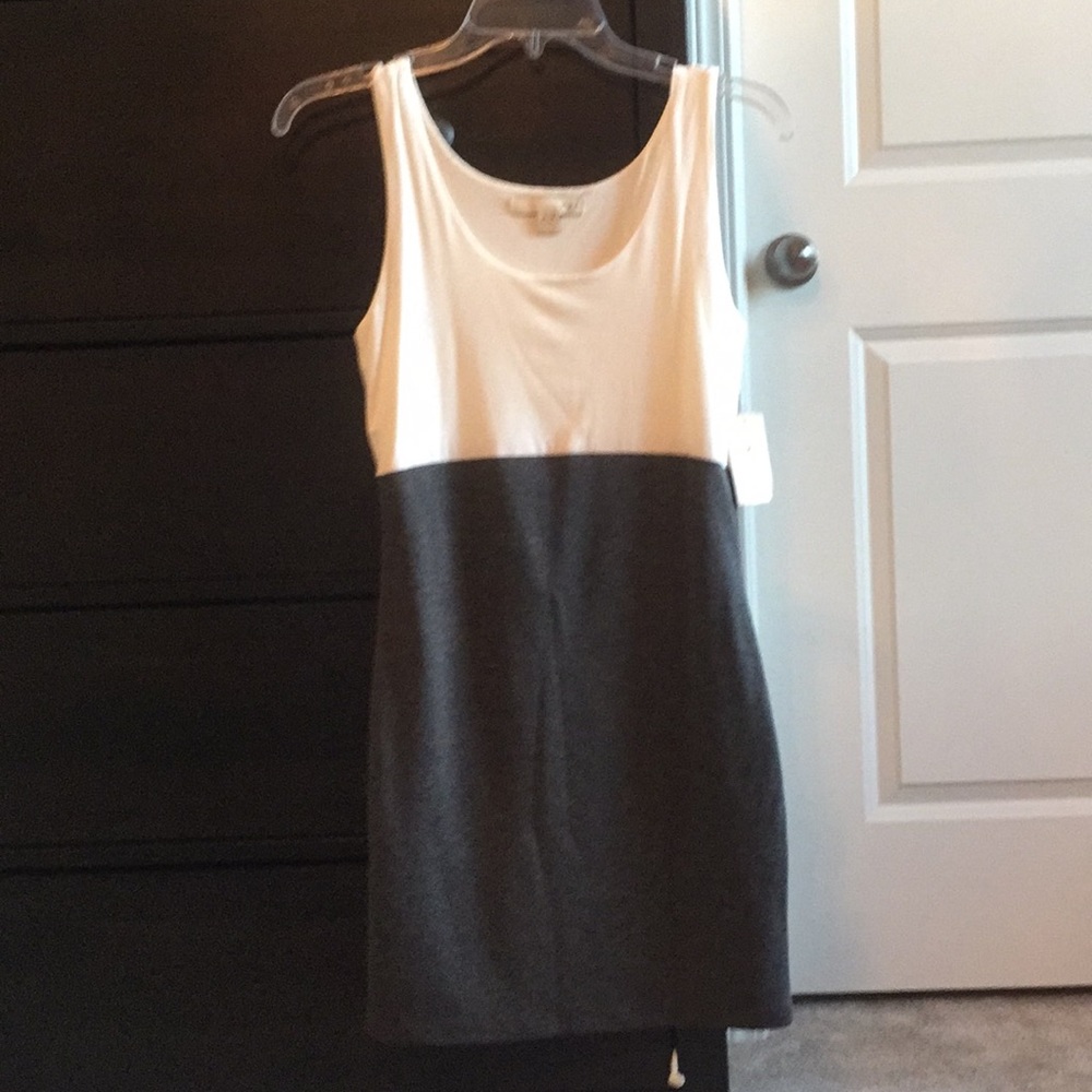 Forever 21 Gray and Cream Dress NWT